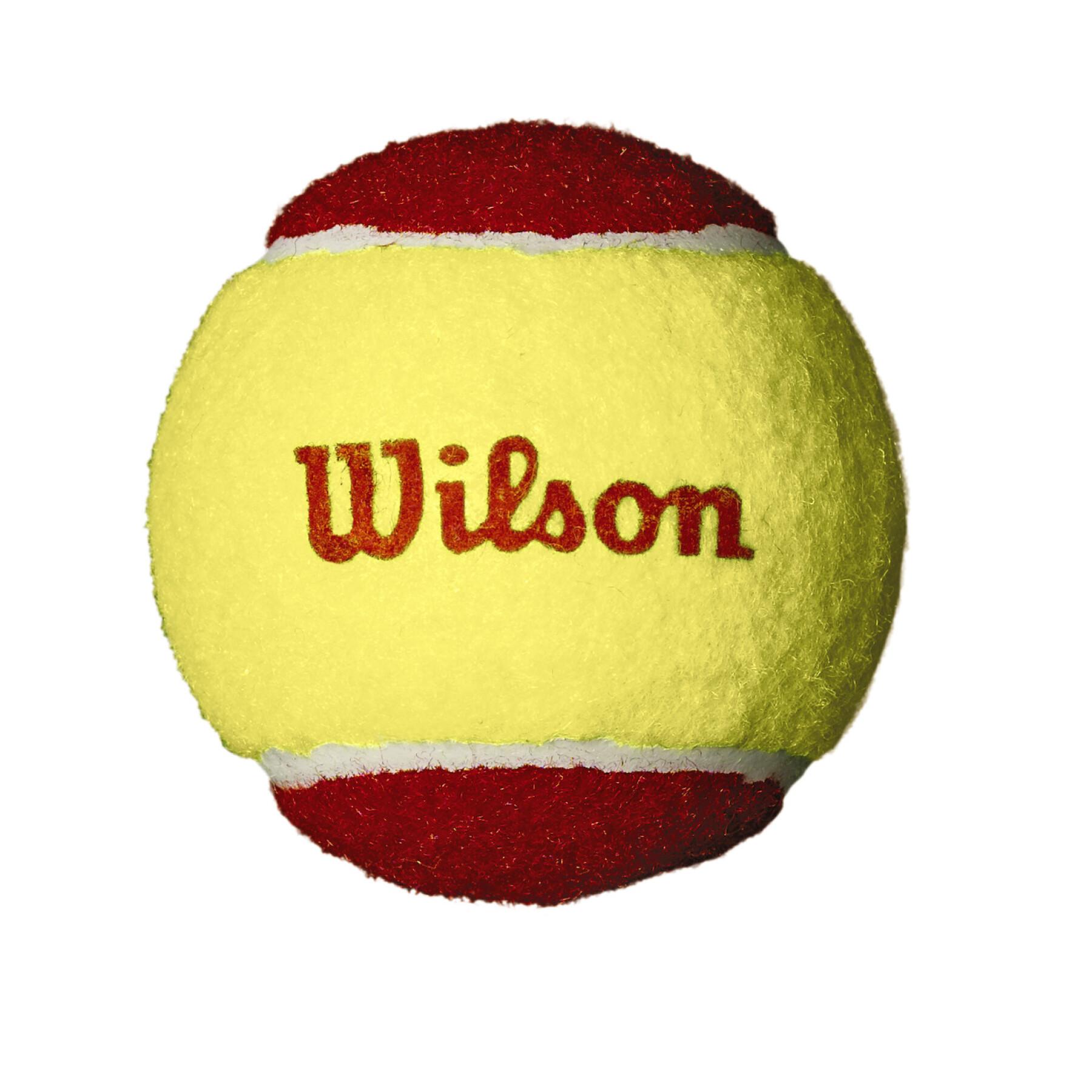 Conjunto de 12 bolas de ténis Wilson Starter