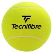 Grande bola de ténis Tecnifibre 24 cm